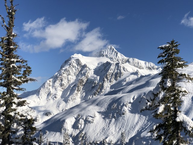 Snow-capped Mt Shuksan. near Glacier, WA