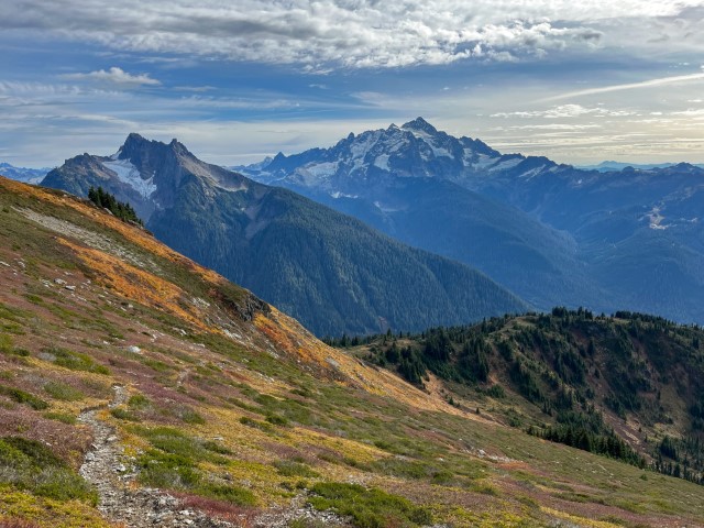 Fall foliage covers the hillside on the descent down Goat Mt with view of Mt Shuksan. Glacier, WA